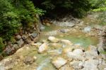 2014-07-05_Laengental-N-Hochweg (221). JPG